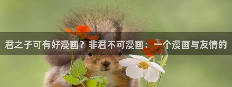 拷贝漫画不能用了：君之子可有好漫画？非君不可漫画：一个漫画与友情的