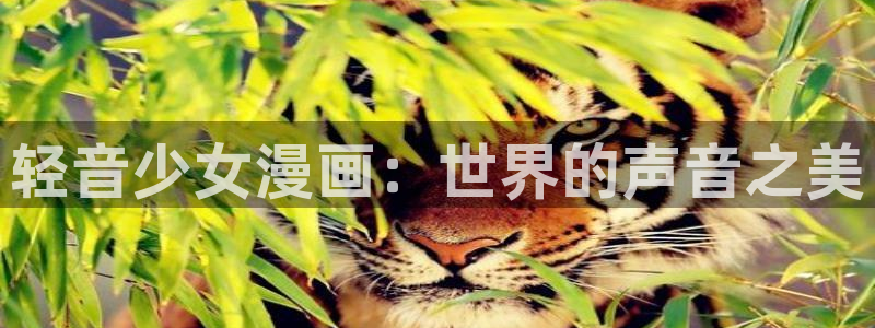 拷贝漫画打不开：轻音少女漫画：世界的声音之美