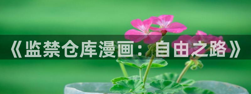 枯萎的花泪拷贝漫画：《监禁仓库漫画：自由之路》